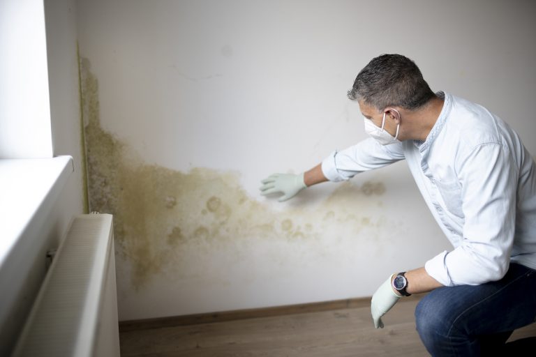 rising damp letchworth garden city